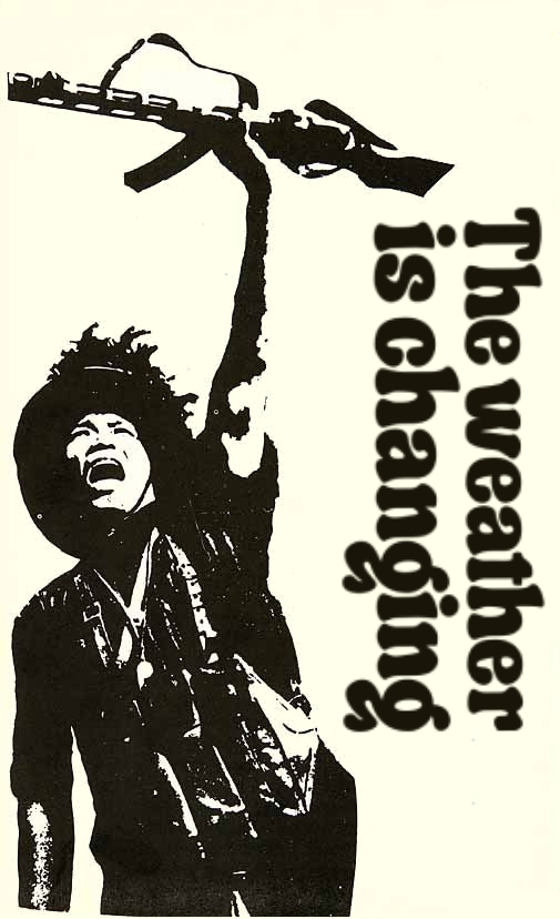 Political Illustration